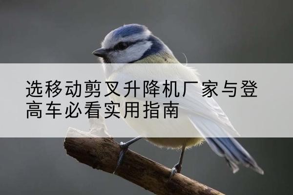 芜湖电动升降机厂家-选移动剪叉升降机厂家与登高车必看实用指南