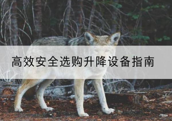 芜湖升降货梯厂家推荐-*安全选购升降设备指南