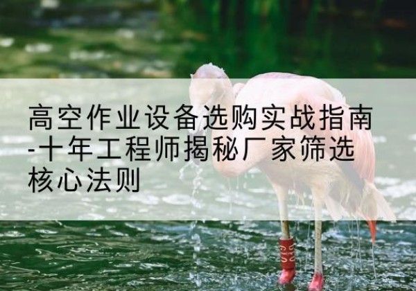 芜湖剪叉式升降机厂家-高空作业设备选购实战指南-十年工程师揭秘厂家筛选核心法则